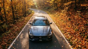 Autumn Drive