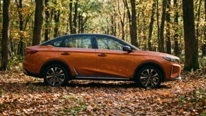 Autumn Drive
