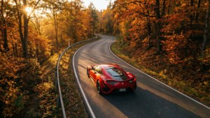 Autumn Drive