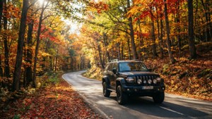 Autumn Drive
