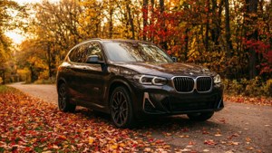 Autumn Drive