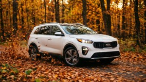 Autumn Drive Sorento