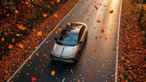 Autumn Drive Top View