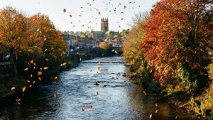 Autumn Exe Flow
