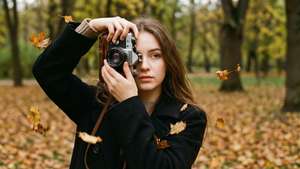 Autumn Explorer