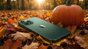 Autumn Fall Leaves