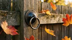 Autumn Fence Ring Doorbell