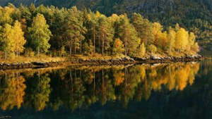 Autumn Fjord Reflections