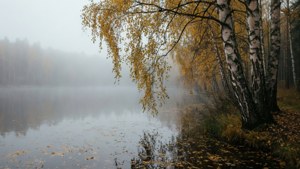 Autumn Foggy Lake