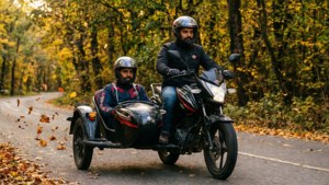 Autumn Forest Cruise