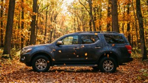 Autumn Forest Drive