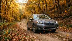 Autumn Forest Drive