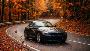 Autumn Forest Drive