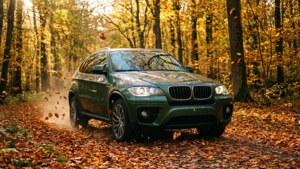 Autumn Forest Drive