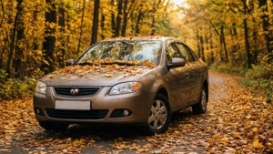 Autumn Forest Lacetti