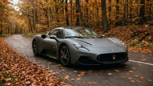 Autumn Forest Run