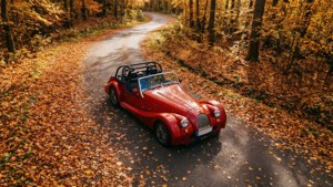 Autumn Forest Run
