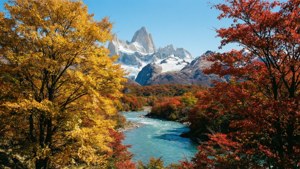 Autumn Glow of Patagonia