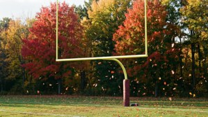 Autumn Goal