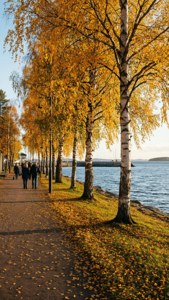Autumn Harbor Walk