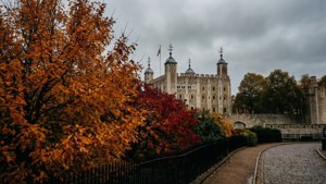 Autumn Hues at the Tower