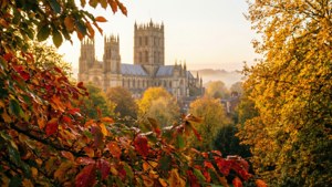 Autumn Hues at Wells