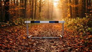 Autumn Hurdle Trail