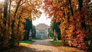 Autumn in Borghese