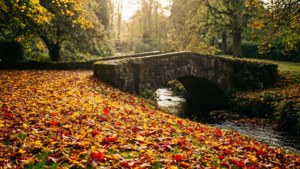 Autumn in Castle Gardens