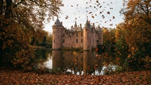 Autumn in Castle Park