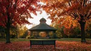 Autumn in Jackson Park