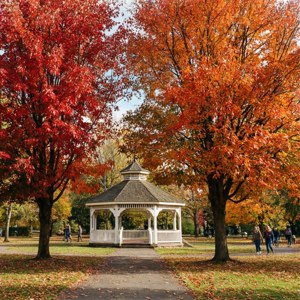 Autumn in Montebello Park