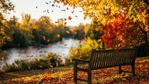 Autumn in Noreuil Park
