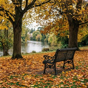 Autumn in Noreuil Park
