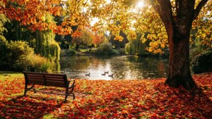 Autumn in Queens Park