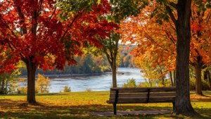 Autumn in Riverfront Park