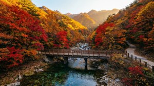 Autumn in Seoraksan