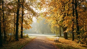 Autumn in Stadsparken