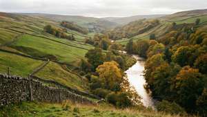 Autumn in the Dales