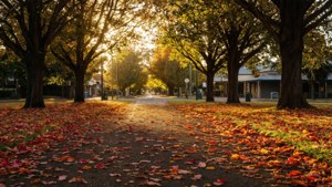 Autumn in the Esplanade