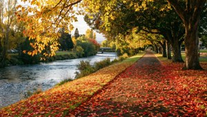 Autumn in the Esplanade