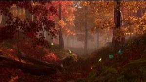 Autumn in the Forest