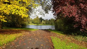 Autumn in the Park