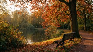 Autumn in Valkenberg