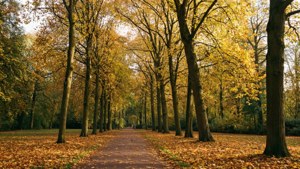 Autumn in Valkenberg