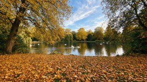 Autumn in Verulamium Park