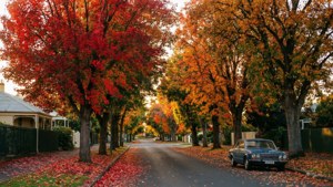 Autumn in Warrnambool