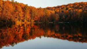 Autumn Lake Reflection