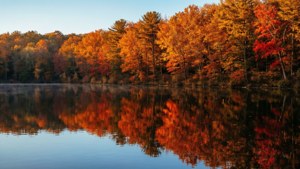 Autumn Lake Reflection