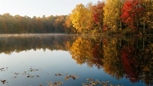 Autumn Lake Serenity